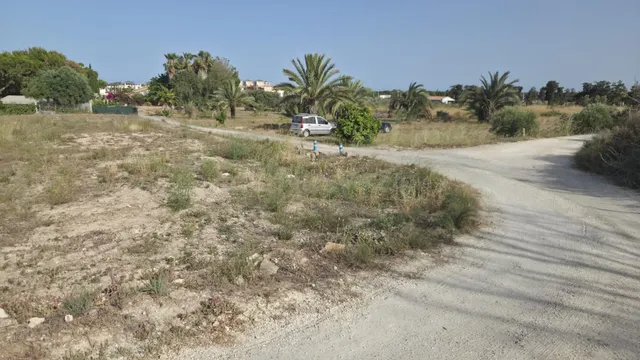SE ALQUILA - Parcela de uso agrario en La Marina, Alicante,  - foto 3