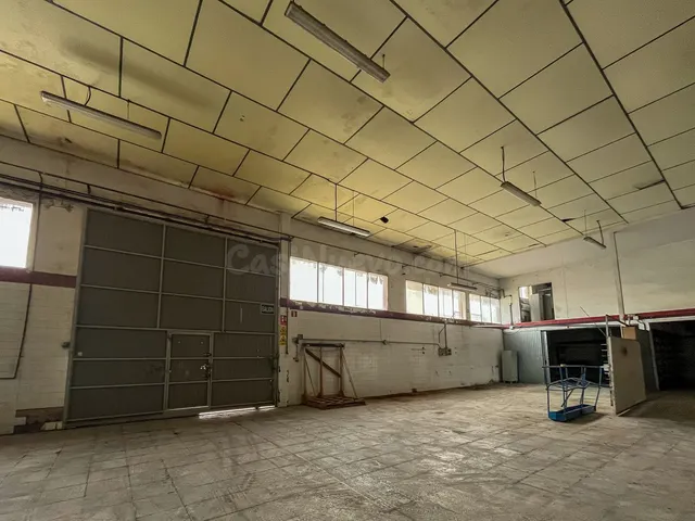 Almacén 1320m² en venta - El Zabal-Santa Margarita — 4