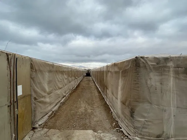 Invernadero en Pago de Paterna — 6