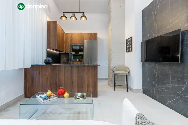 PRECIOSO ESTUDIO DE LUJO EN URBANIZACION TRIUNFO JARDIN — 5