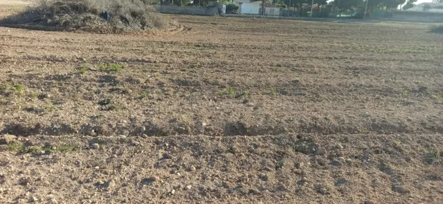 PARCELA EN VALVERDE — 4