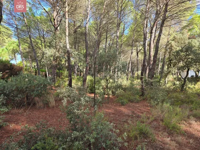 Terreno en urb pinares del jucar — 4