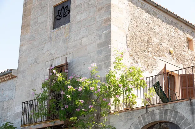 MAGNIFICA POSSESSIÓ DEL S.XIV EN SINEU - foto 4