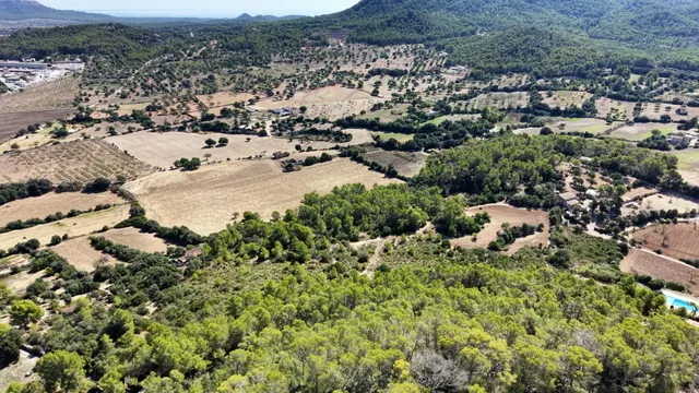 Terreno rústico de 10.000m2 en son quetlles, Felanitx — 15
