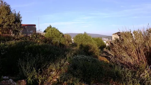 Solar en venta de procedencia bancaria — 8