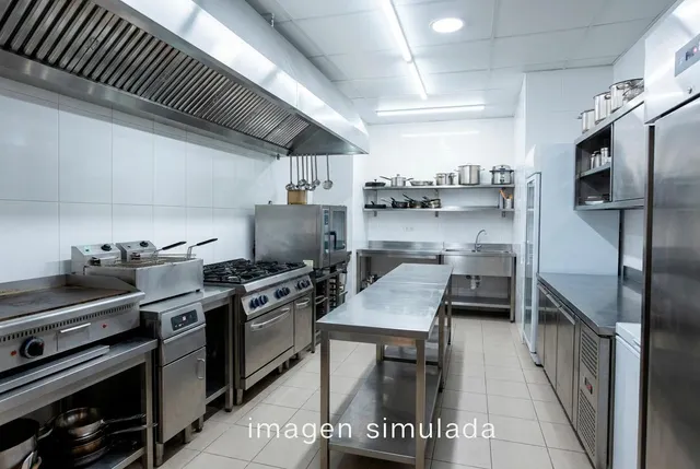 GRAN LOCAL COMERCIAL EN AVENIDA DE SALOBREÑA — 8