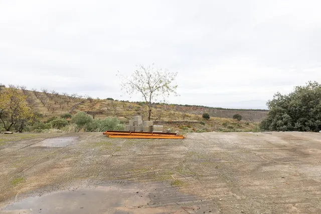 Magnífica finca de 400 olivos en Monachil — 11