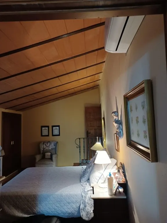 Magnífica casa de campo con piscina y vistas a Moguer, en finca de casi 15.000 m2 — 15
