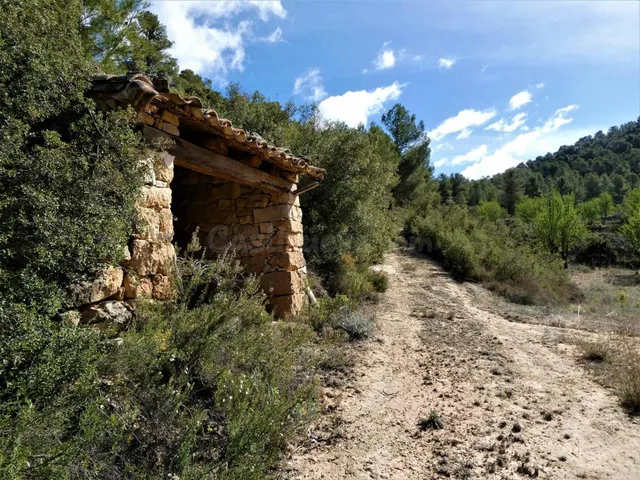 Suelo rústico en Venta en Lledo Teruel - foto 2