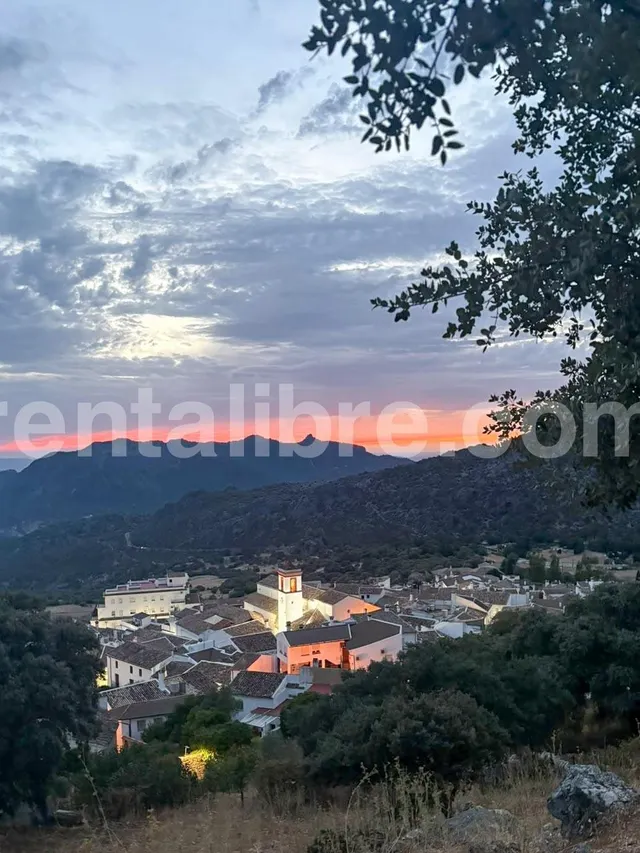 Oportunidad en la Sierra de Cádiz — 14