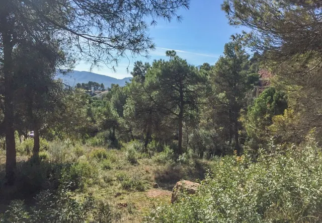 TERRENO URBANO EN RELLINARS DE 946 M2 - ZONA EL PLANET — 19