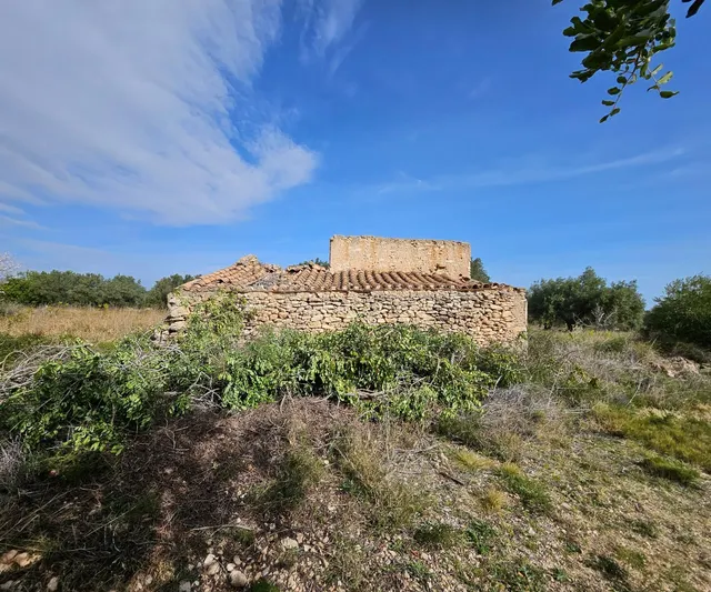 Finca Rústica de 6,5 hectáreas, plana, con casa de campo de 150 M2 — 5