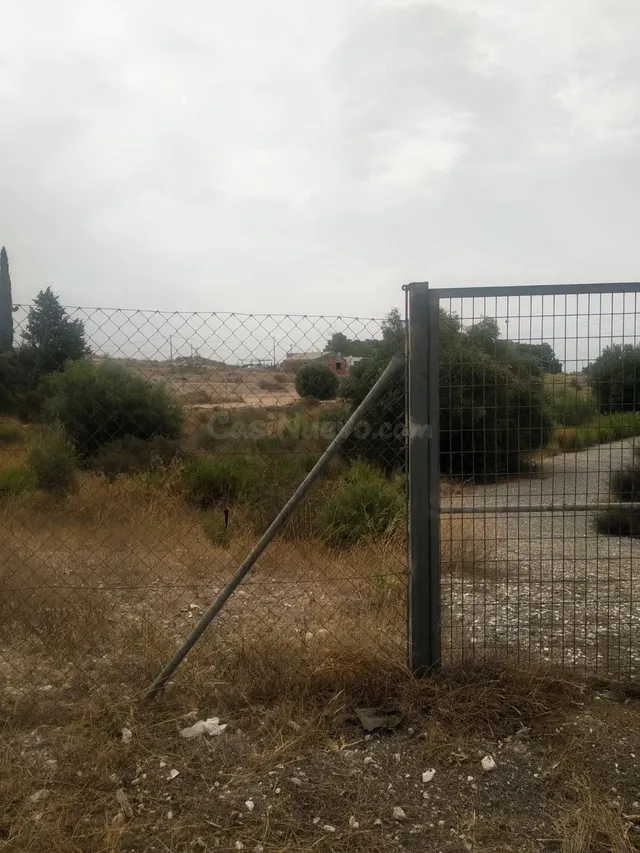 ¡Tu parcela de recreo o cultivo en La Albarda, a un paso de  - foto 3