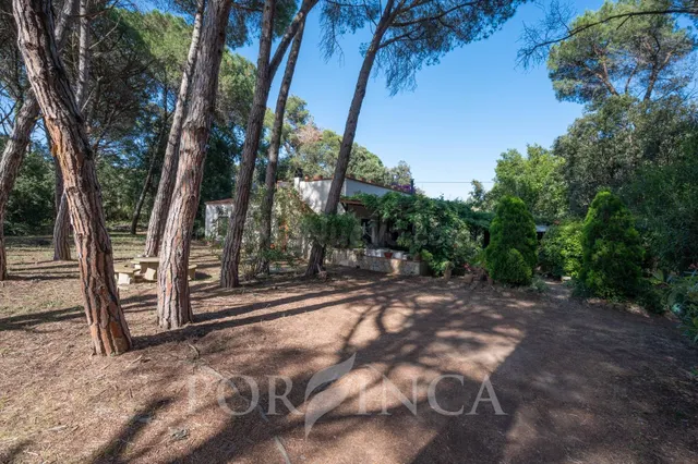 Encantadora casa en suelo rústico con 1.500 m2 de parcela y  - foto 3