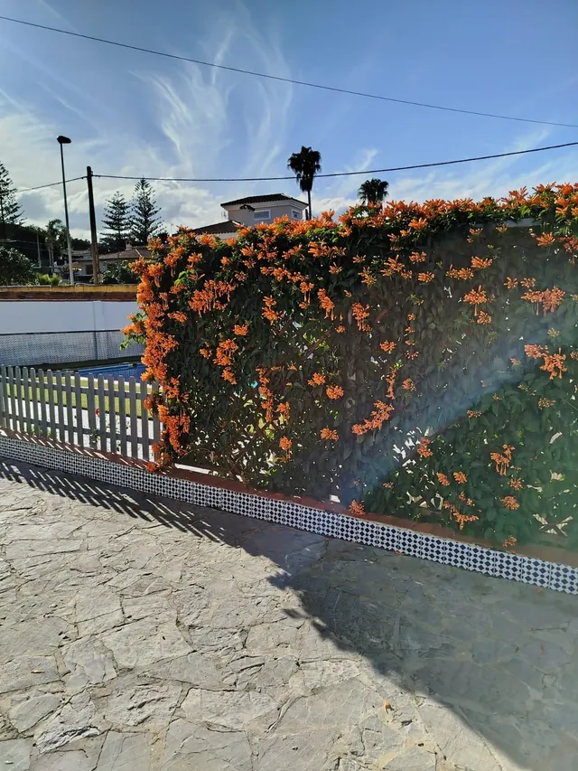 Se vende chalet independiente en Algeciras, zona colonia san miguel. — 6