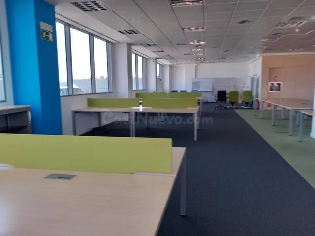 CASTILLA, OFICINA EXTERIOR- DIAFANA 533m2, Excelente Luz Nat - foto 5