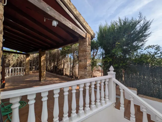ESPECTACULAR FINCA CON CASA, PISCINA PRIVADA Y PLANTACIÓN DE LIMONEROS EN JACARILLA — 8