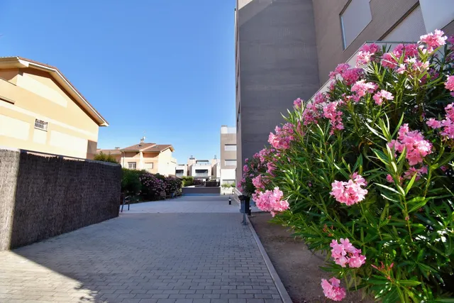 Soto del HENARES - 2 habitaciones, 2 plazas de garaje y trastero. — 43