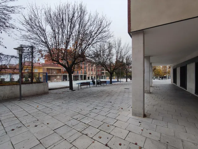 LOCAL PLAZA MAYOR — 3