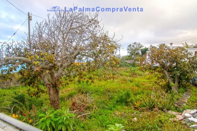 Casa de pueblo en Venta en Lomo Oscuro De Abajo Santa Cruz d - foto 4