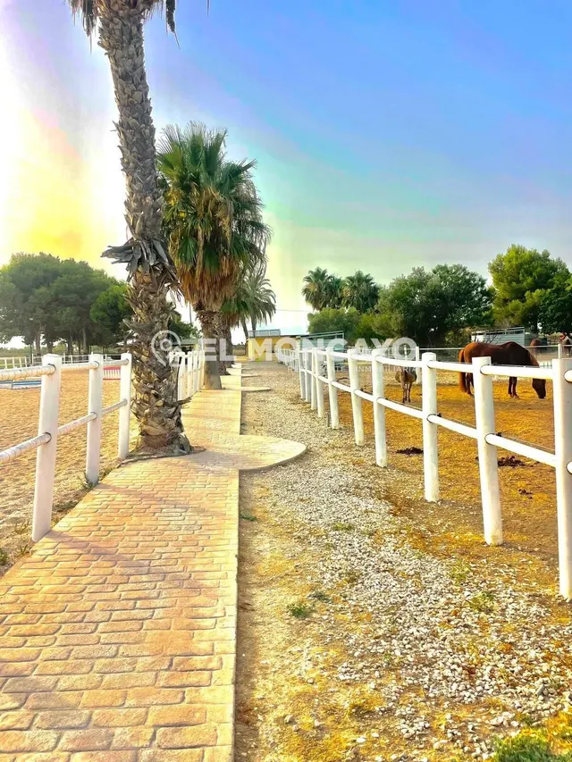 Fantástica finca rústica con piscina privada e instalaciones para caballos junto al Parc Natural del Fond en Dolores, Alicante — 11