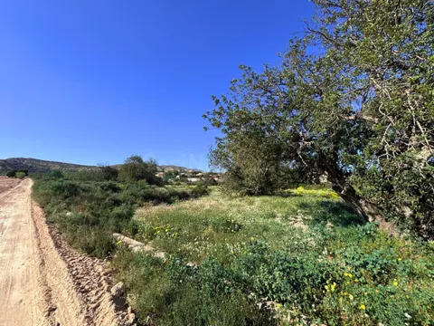 Parcela rústica de 38.780 m2 en El Moralet, Alicante, a 5 km de San Vicente del Raspeig.