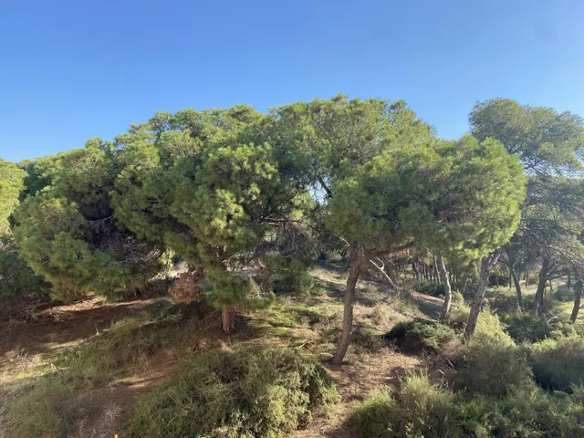 Apartamentos de lujo de nueva construcción cerca de la playa en Guardamar del Segura — 16
