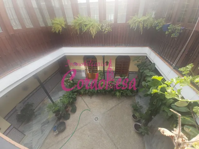MAGNIFICA CASA EN PLENO CENTRO CIUDAD — 4