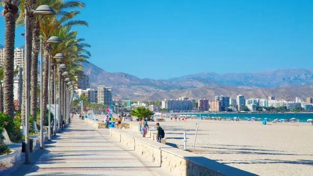 ¡Tu Refugio Exclusivo en Playa de San Juan, Alicante! 🌊🏖️ — 36