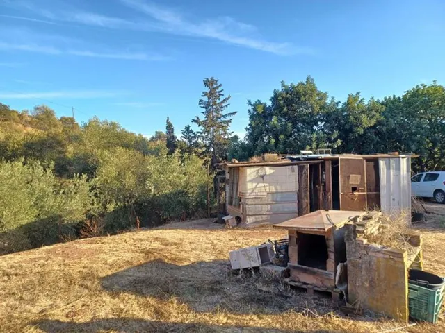 ESTUPENDA PARCELA AGRÍCOLA CON CASA MUY CERCA DEL PUEBLO DE  - foto 4