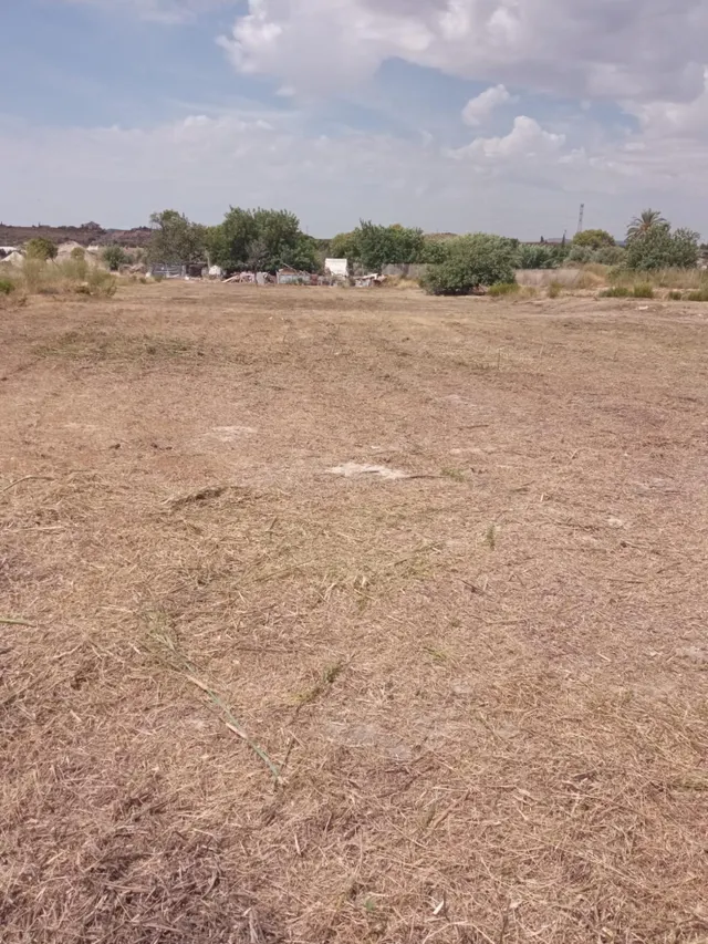 Parcela Rústica de 3.700m2 con Agua de Riego a 4,5 km de Mutxamel y a 9 km de la Playa — 8
