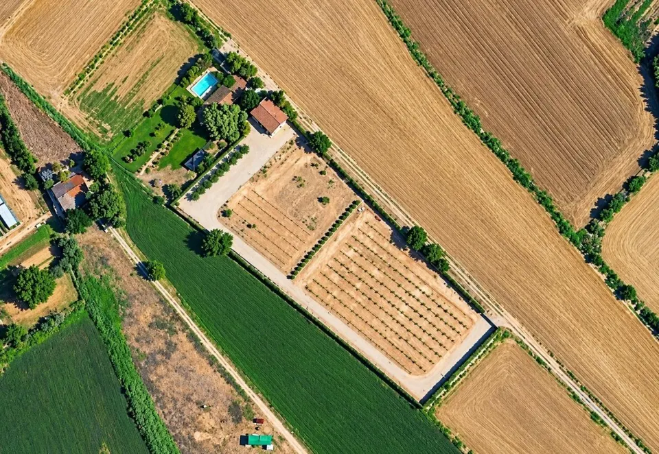 Finca de 7.500 m2 con 200 olivos y almacén de 123 m2 en partida rufea – ¡a solo 5 minutos de Lleida!