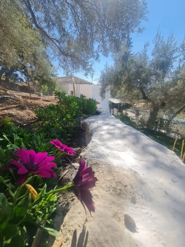 Casa 3 habitaciones 180m² en venta - Andalucia - foto 5