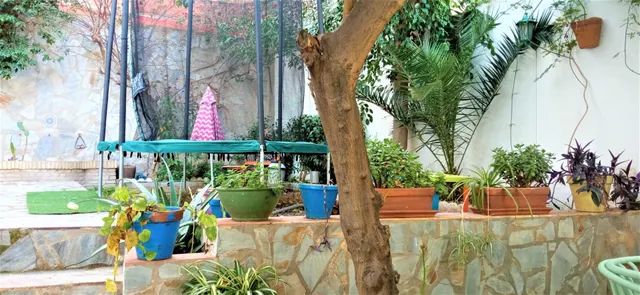 VENTA CASA CENTRICA EN MORÓN DE LA FRONTERA — 4