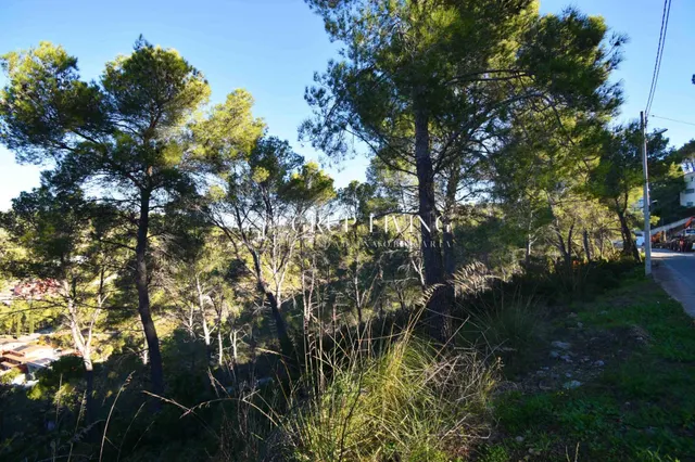 PARCELA CON INCREÍBLES VISTAS EN MAS MESTRE — 4