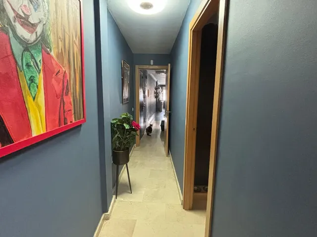 Apartamento 3 habitaciones 86m² en venta - Cruz de Humilladero- Paseo de los Tilos — 13