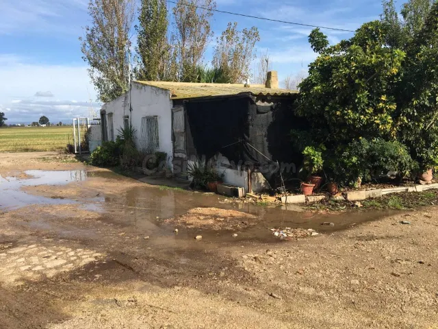 GRANJA AVICOLA,CASA Y ARROZAL EN VENTA!!! - foto 3