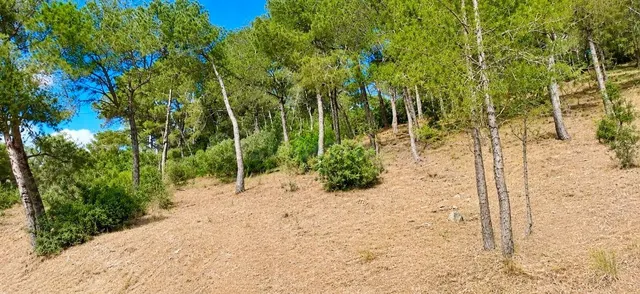 Exclusiva parcela con vistas abiertas al mar en Canyamel, co - foto 4