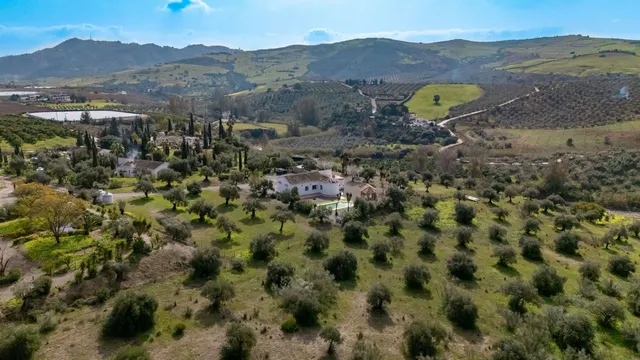 Finca rústica 3 habitaciones 142m² en venta - South of spain — 37