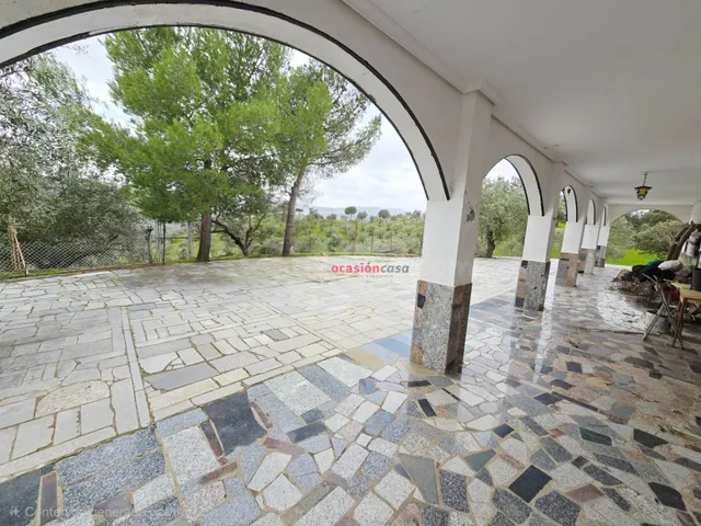 FINCA DE OLIVOS CON CORTIJO