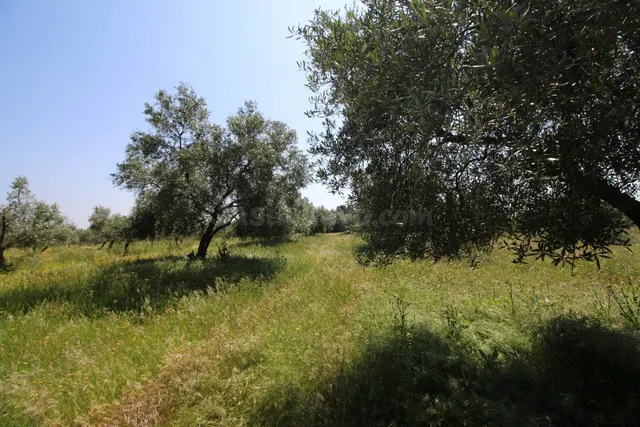 Terreno rural en venta - Alrededores - foto 4