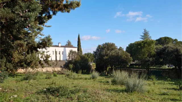 EXCLUSIVE URBAN PLOT IN LOS JARALES – GALAPAGAR/TORRELODONES - foto 5