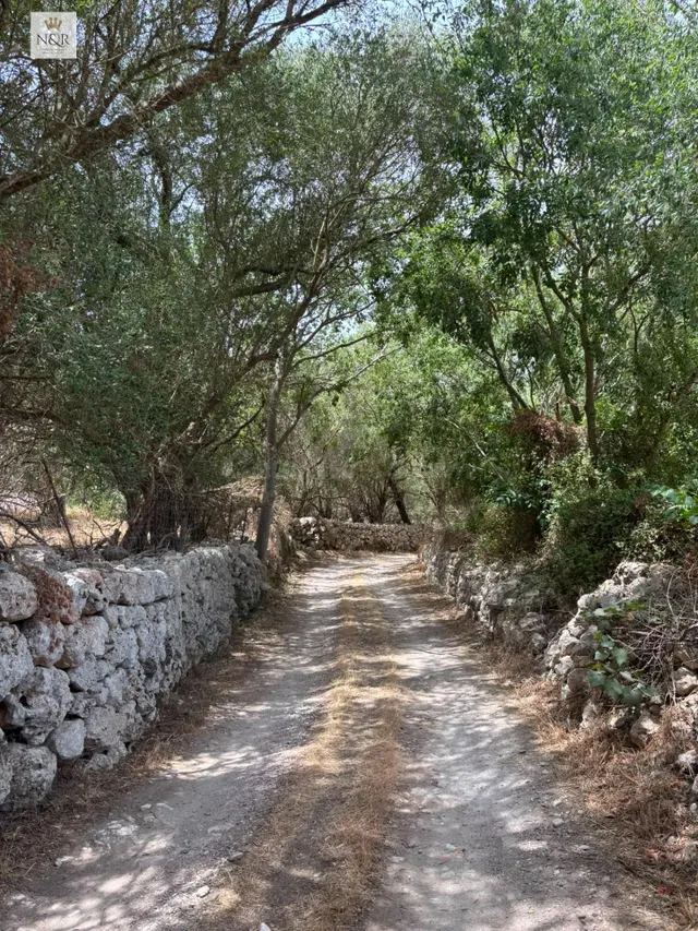 FINCA SENCELLES EDIFICABLE CAS CANAR - foto 3