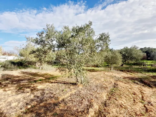 Terreno rural en venta - pedanias