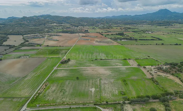 Gran terreno edificable en las afueras de Manacor - foto 3