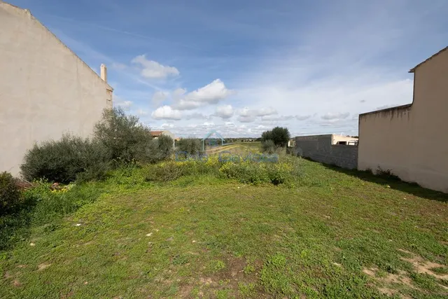 Solar urbano en Ses Salines – 391 m2 - foto 5