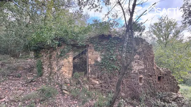 Masía Para Reconstruir - Pleno Bosque - Vistas Panorámicas.  - foto 3
