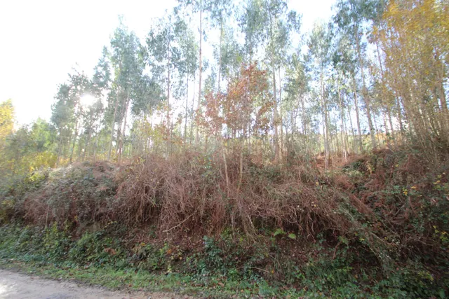 CABAÑA INDEPENDIENTE CON TERRENO EN RUENTE — 8