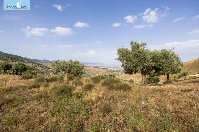 En Venta Maravilloso Paraje Natural, a medio camino entre Granada y Sierra Nevada, a veinte minutos en coche, desde cada una de ellas. — 15