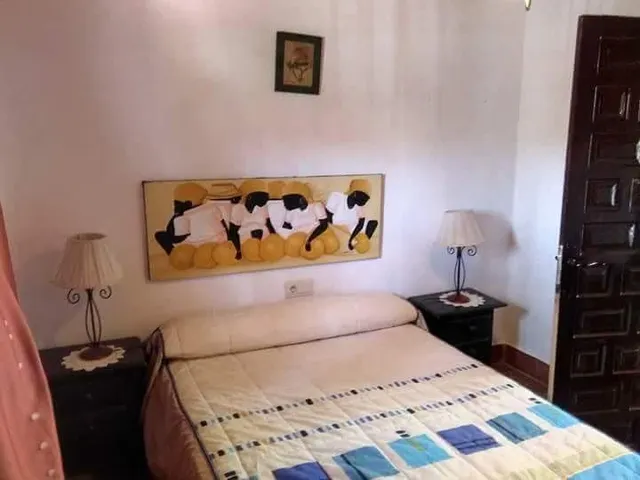 ALQUILER VACACIONAL DOS CASAS RURALES EN LA MISMA PARCELA — 25